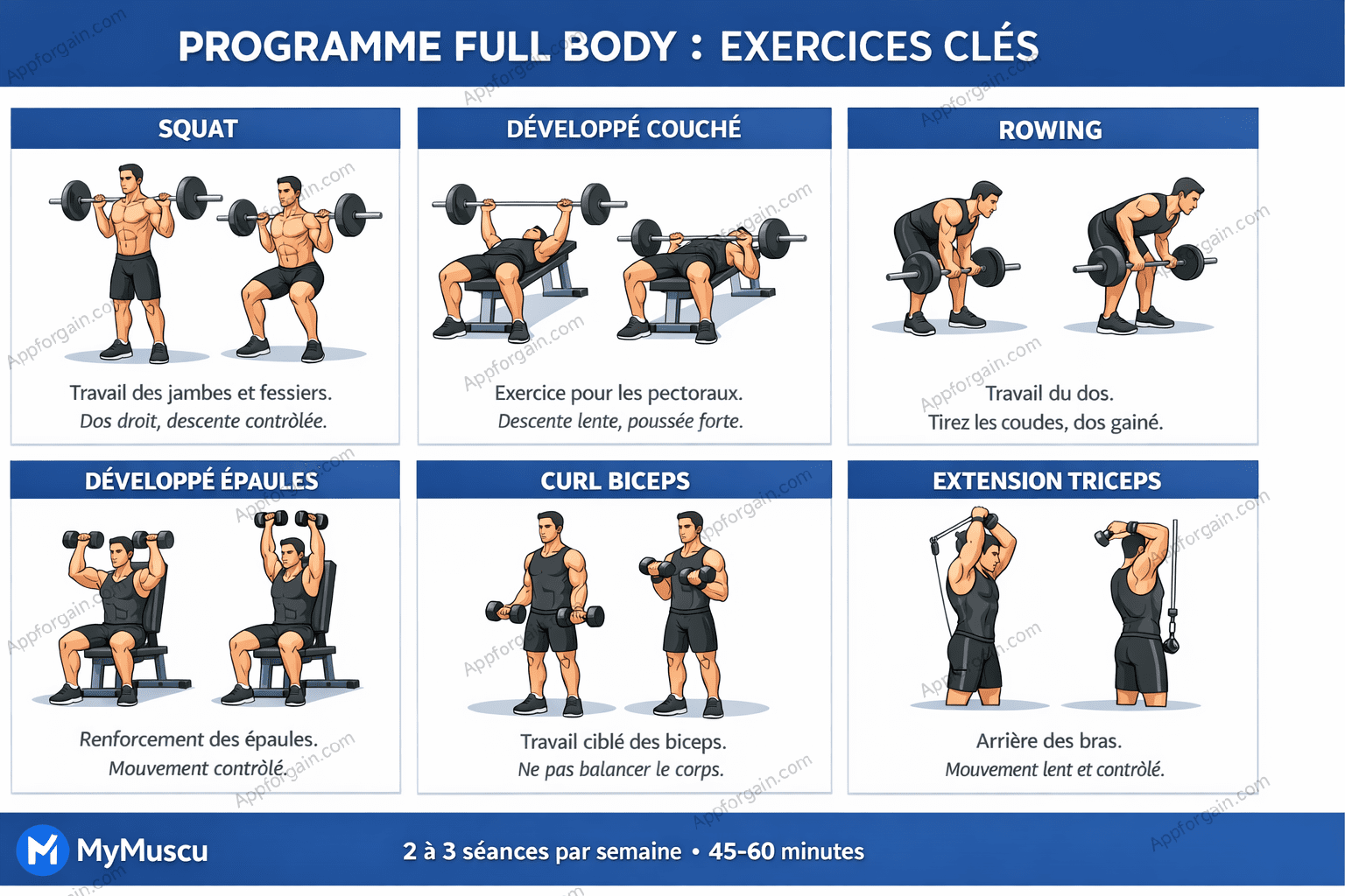 Meilleur programme full body
